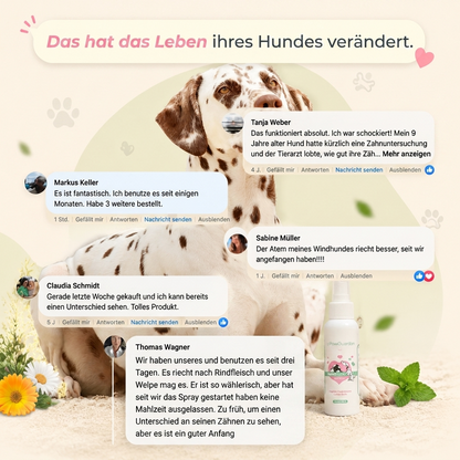 Reinix - Zahnpflegespray für Hunde und Katzen