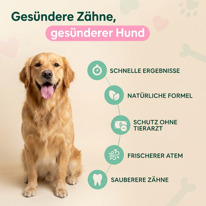Reinix - Zahnpflegespray für Hunde und Katzen