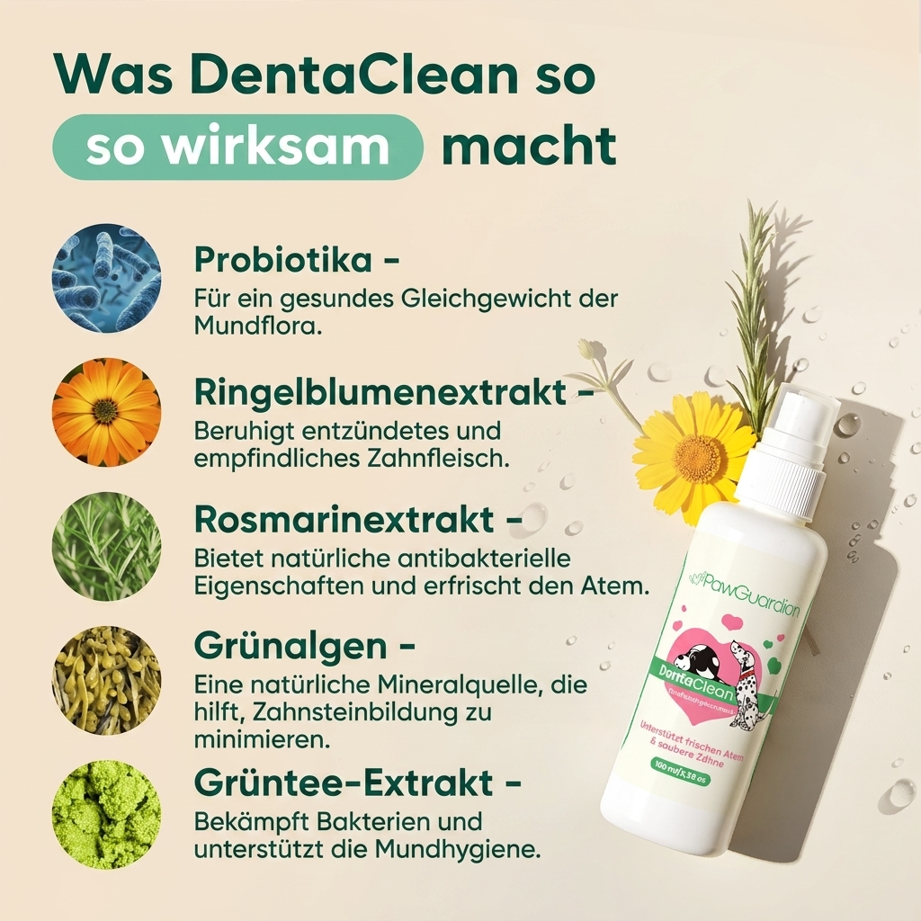 Reinix - Zahnpflegespray für Hunde und Katzen