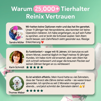 Reinix - Zahnpflegespray für Hunde und Katzen